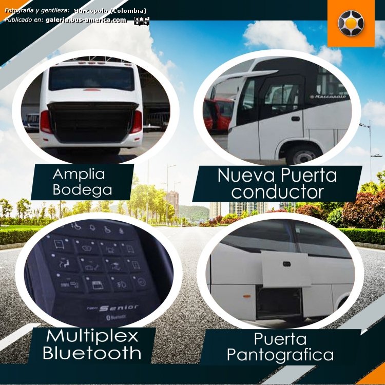 Marcopolo New Senior 800
[url=https://bus-america.com/galeria/displayimage.php?pid=48199]https://bus-america.com/galeria/displayimage.php?pid=48199[/url]
[url=https://bus-america.com/galeria/displayimage.php?pid=48200]https://bus-america.com/galeria/displayimage.php?pid=48200[/url]

Fotografía de carrocerías: Marcopolo (de Colombia)
