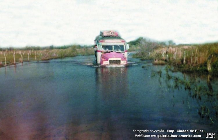 Toyota - Del Sur
L-14345
http://galeria.bus-america.com/displayimage.php?pid=37782

Fotografía: Empresa Del Sur S.R.L.
Colección: Empresa Ciudad de Pilar
Extraída de: facebook.com

