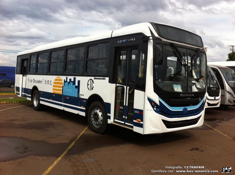 Volksbus 15.190 OD - Mascarello Gran Vía (para Paraguay) - 1º de Diciembre
[url=http://galeria.bus-america.com/displayimage.php?pid=42693]http://galeria.bus-america.com/displayimage.php?pid=42693[/url]

Línea 41 (Asunción area metropolitana)

Fotografía y gentileza: C.E.TRA.P.A.M (Centro de Empresarios del Transporte de Pasajeros del Area metropolitana)
