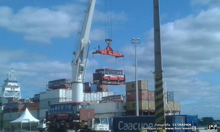 Zhong Thong Sunny (en Paraguay) - San Lorenzo
Fotografía y gentileza: C.E.TRA.P.A.M (Centro de Empresarios del Transporte de Pasajeros del Area metropolitana)
