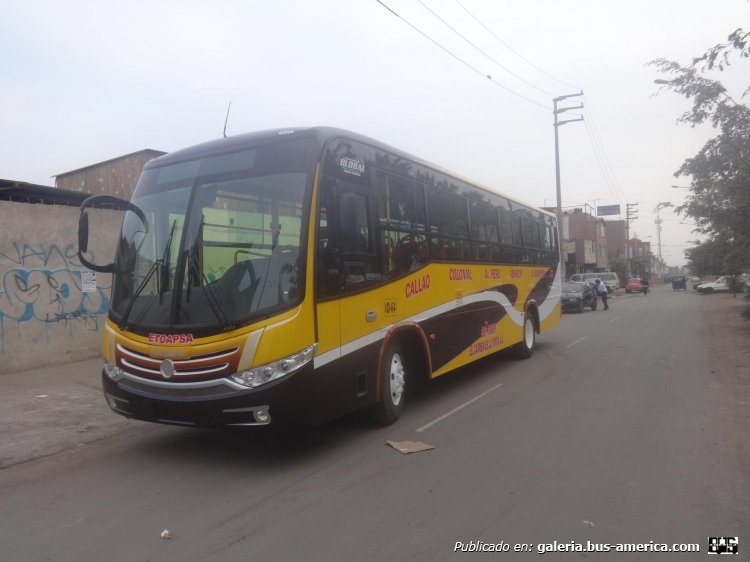 Global - ETCAPSA
http://galeria.bus-america.com/displayimage.php?pid=33472

Fotografía: Michel Mejía
Publicado en: https://www.facebook.com/photo.php?fbid=725182564235682&set=pcb.725183540902251
&type=1&theater
