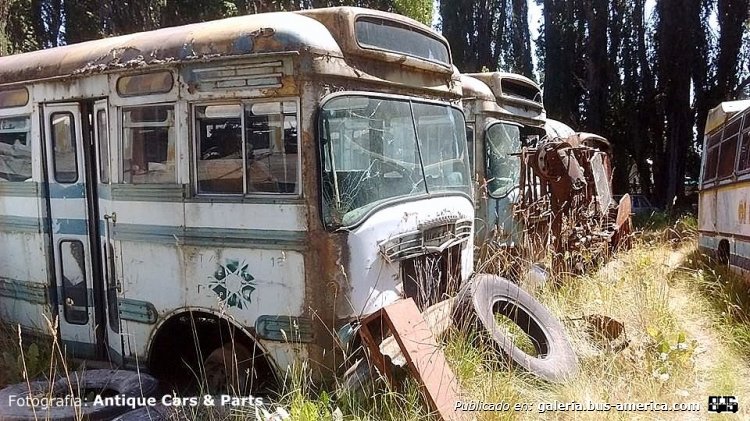 Ford Thames Trade - Wayne SMI-2908 (ensamblado en Argentina)
Fotografía: Antique Cars & Parts
