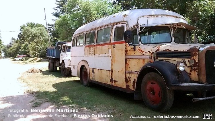Mercedes-Benz L 312 - Particular
Fotografía: Benjamín Martínez
Publicada en el grupo de Facebook "Fierros Oxidados"

http://galeria.bus-america.com/displayimage.php?pid=39225
