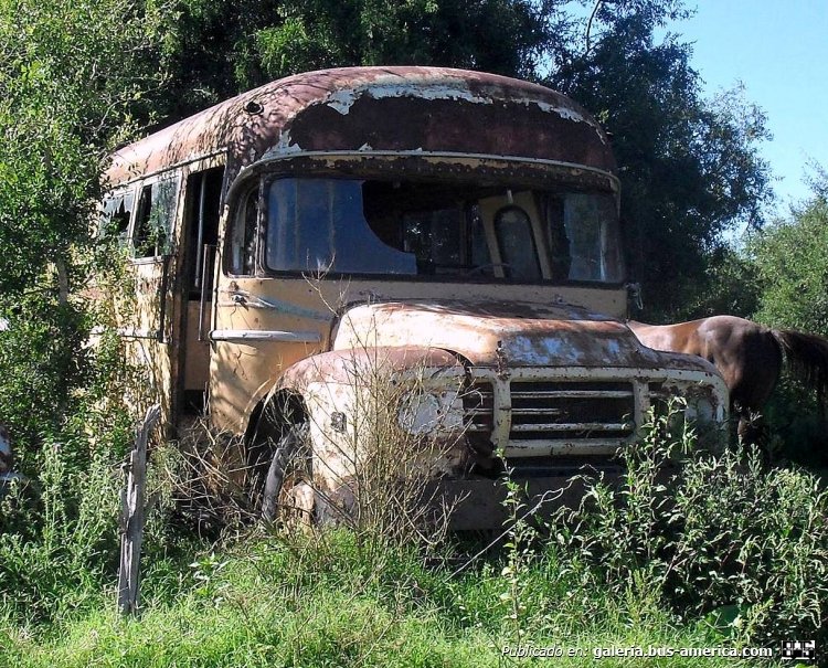 Bedford (G.M.A.) - Vaccaro - Particular 
Fotografía: José María Benítez
