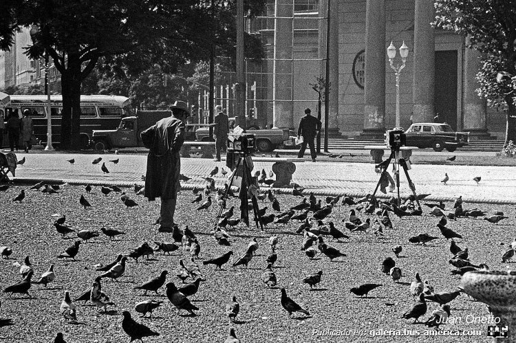 Mercedes-Benz L 312 - El Trébol - Cárdenas
Línea 126

Fotografía: Juan Onetto
