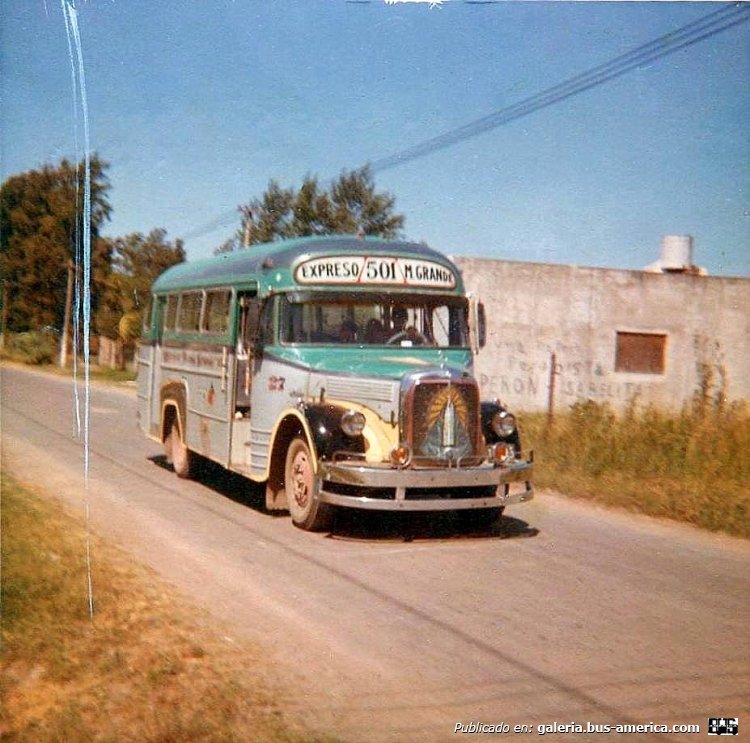Mercedes-Benz L 312 - Vaccaro - Expreso Monte Grande
Línea 501 - Interno 27

Fotografía: Jorge Gerstner
Publicada en el grupo de facebook "Monte Grande Ayer"
