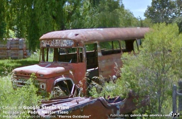 Chevrolet (G.M.A.) - Ortega
Poco común, chasis que convivió por un tiempo con el modelo Bedford, del cual no se registran unidades carrozadas como colectivo

Fotografía: Captura de Google Street View
Realizada por: Pedro Néstor Tieso
Publicada en el grupo de Facebook "Fierros Oxidados"
