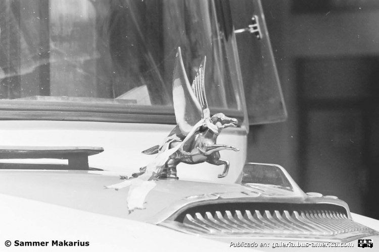 Bedford (G.M.A.) - Serra
Dos ornamentos de época, el caballo alado, Pegaso, y la falsa toma de aire del Kaiser Carabela

Fotografía: Sameer Makarius
