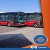 Nombre del archivo=MBO500U-NuovobusMenghiEuro19-lz548_fNuovobus.jpg
Tamaño del archivo=320Kb
Dimensiones=960x960
Fecha añadida=27 de Junio de 20 MBO500U-NuovobusMenghiEuro19-lz548_fNuovobus.jpg