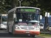 Nombre del archivo=MBOF1519-ItalbusBello2017-rn33i103aa045jv_fB2000.jpg
Tamaño del archivo=155Kb
Dimensiones=660x495
Fecha añadida=02 de Marzo de 17 MBOF1519-ItalbusBello2017-rn33i103aa045jv_fB2000.jpg