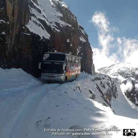 Yungueña
Fotografo: desconocido
Fotografía: Flota Yungueña (Cobija), en facebook
