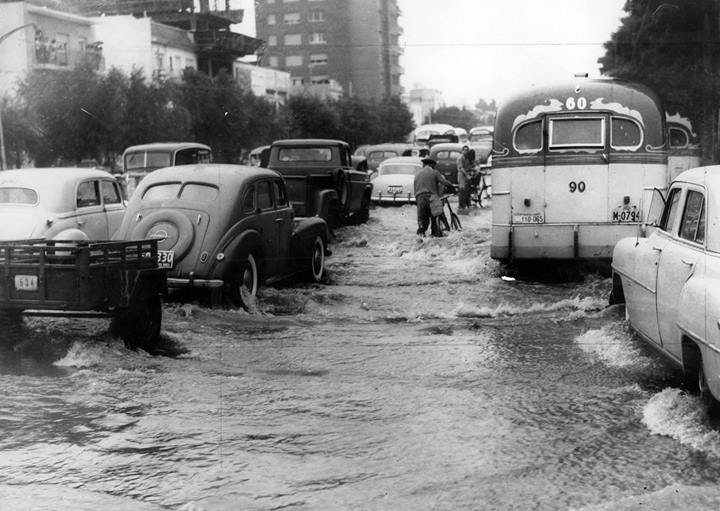 Micro Omnibus Norte
110-065
M-0794

Fotógrafo: ¿?
Archivo General de la Nación. Documento fotográfico. Inventario 483.
Extraído: https://www.facebook.com/photo.php?fbid=749076925117526&set=a.
141923792499512.21231.
138633046161920&type=1&relevant_count=1
