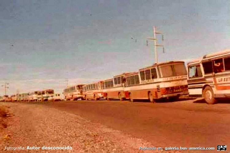 Mercedes-Benz O-140 - D.I.C. - Río De La Plata
Varios camino a la costa

Fotografía: Autor desconocido

