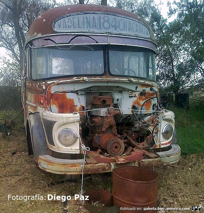 Mercedes-Benz LO 1114 - El Indio - Ex La Central de Vicente López
Ex línea 184

Fotografía: Diego Paz
