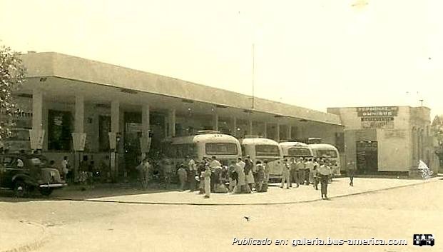 Mercedes-Benz OP 312 - El Trébol - Expreso General Urquiza
Terminal de ómnibus de Gualeguaychú
(Datos de izquierda a derecha)

Fotografía: Miguel Rodríguez
Publicada en el Facebook Videos Históricos Gualeguaychú
