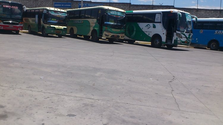 varias carrocerias
Tenemos un pillapa, marsapolo, olímpicat
[Datos de derecha a izquierda]
Palabras clave: varios buses 
