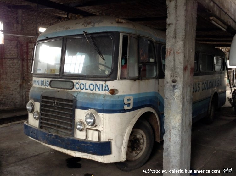 Austin - Independencia - Omnibus Colonia
http://galeria.bus-america.com/displayimage.php?pid=33852

Imagen de DIEGO SPERATTI
Extraida de retrovisiones.com
