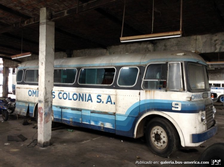 Austin - Independencia - Omnibus Colonia
http://galeria.bus-america.com/displayimage.php?pid=33852

Imagen de DIEGO SPERATTI
Extraida de retrovisiones .com
