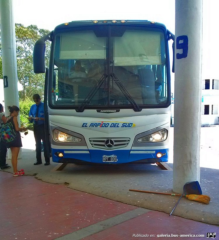 Mercedes-Benz O-500 - Niccoló Avanti II - Rápido Del Sud
MPF 808
Interno 724

http://galeria.bus-america.com/displayimage.php?pid=34253
http://galeria.bus-america.com/displayimage.php?pid=34288
http://galeria.bus-america.com/displayimage.php?pid=34316
