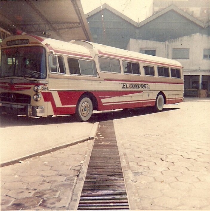 Mercedes-Benz O-317- Incar - El Cóndor 
Terminal de ómnibus Mar Del Plata. Año 1968 o 1969.
Esta foto ya la subí en otra pagina.
