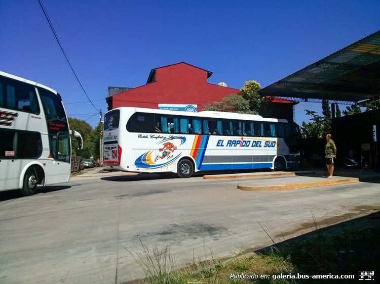 Mercedes-Benz O-500 - Niccoló Avanti II - Rápido Del Sud
MPF 808 
Interno 724

http://galeria.bus-america.com/displayimage.php?pid=34288
http://galeria.bus-america.com/displayimage.php?pid=34289
http://galeria.bus-america.com/displayimage.php?pid=34316
