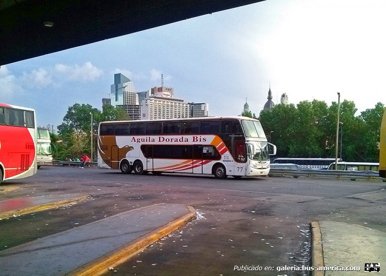Mercedes-Benz O-500 RSD - Busscar (en Argentina) - Águila Dorada Bis
Interno 77
Terminal de ómnibus Retiro

