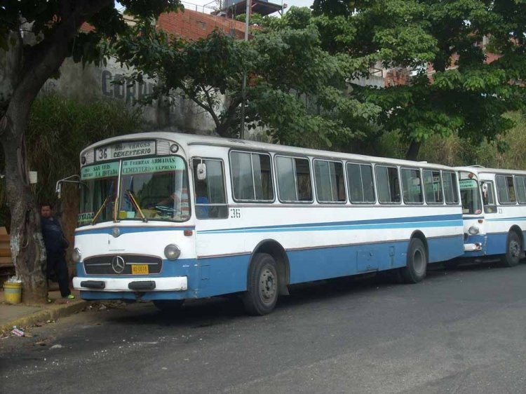 Mercedes-Benz O-317 (en Venezuela) - Colectivos Del Norte 36
          
