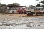 Caio alpha (En Paraguay) San Cayetano S.R.L Linea 37
En la vieja parada del 37 con otro bus de carroceria nacional
Palabras clave: MB