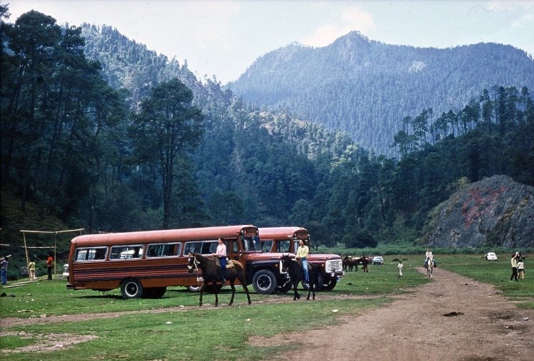 Ford
Foto de Imre Réthy, tomada de https://picasaweb.google.com/
(En México)
Palabras clave: mexico