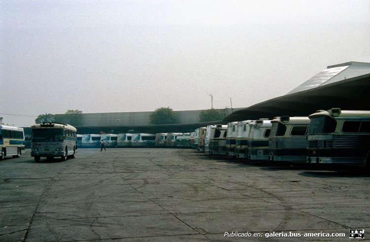 ?? - ?? - ??
Foto de Adrie Steenbrink, tomada de https://picasaweb.google.com

(En México)
Palabras clave: mexico