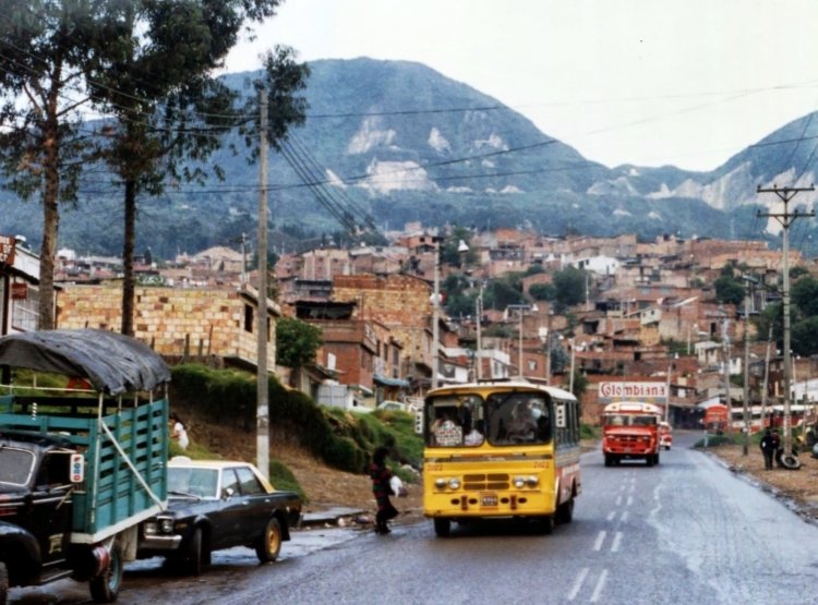 ?? - ?? - ??
Foto de Real Lavergne, tomada de https://picasaweb.google.com
(En Colombia)
Palabras clave: Colombia