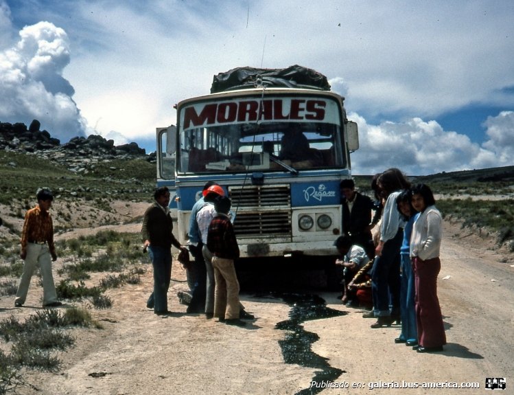Pegaso - Unicar (para Perú) - Morales
Fotografía: Niklas Bjornerstedt
(En Perú)
Palabras clave: pegaso peru