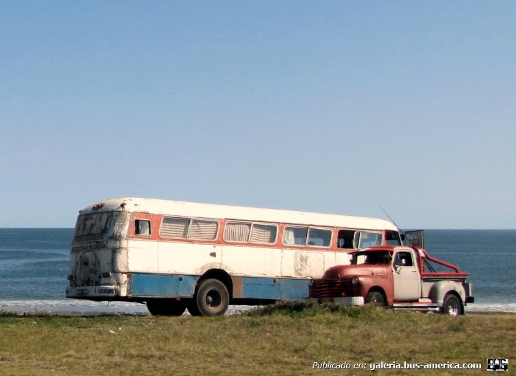 Bussing - Independencia - Particular
Foto de André Bonacin, tomada de panoramio.com
Palabras clave: uruguay