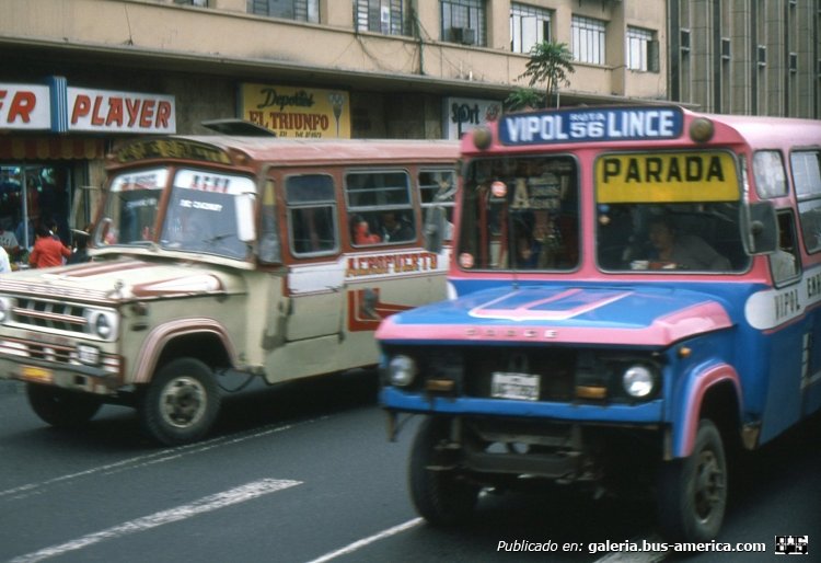 Dodge D 400 - ?? - Ruta 56
Foto del usuario f.h ehrenberger germany de www.panoramio.com
(En Perú)

[Datos de derecha a izquerda]
Palabras clave: peru dodge