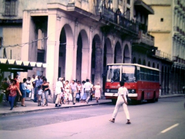 Ikarus 260 (En Cuba) -¿?
Foto de Carlos Rojo, tomada de https://picasaweb.google.com
Palabras clave: cuba