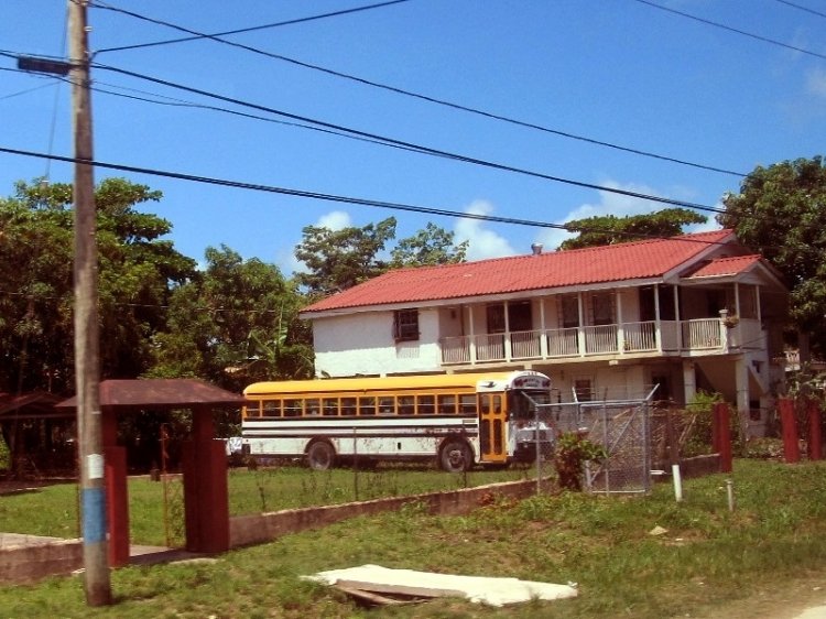 ?? - Blue Bird - (En Belice)
Foto de Karen McDaniel, tomada de https://picasaweb.google.com/
Palabras clave: belice