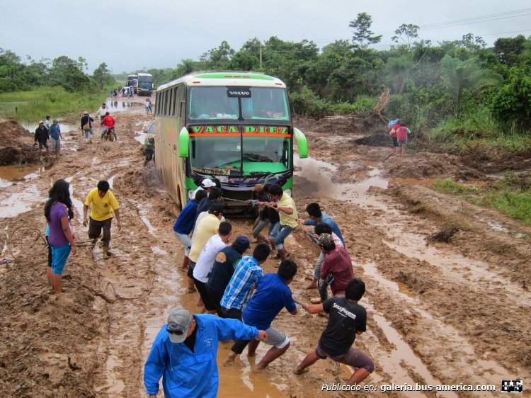 Vovo - ?? - ¿Vaca Diez?
¿...-DXF?

Foto de mein-jahr-bolivien.blogspot.com
(En Bolivia)
