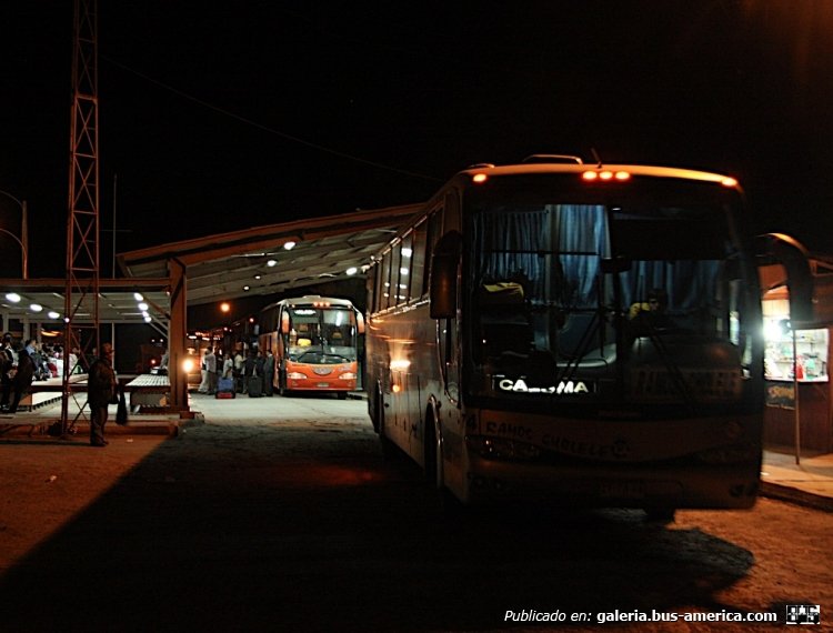 Marcopolo (En Chile) - Ramos Cholele
Foto de Mark Naylor, tomada de https://picasaweb.google.com
Palabras clave: chile