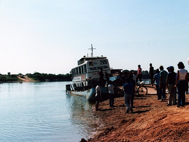 ?? - Marcopolo - Eucatur
Foto de Mark Naylor, tomada de https://picasaweb.google.com/
Palabras clave: amazonas