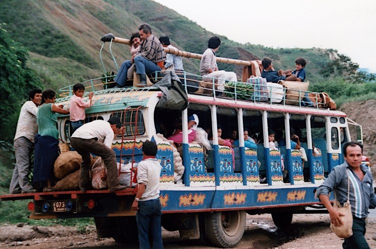 ?? - ?? - ??
Foto de Mark Naylor, tomada de picasaweb.google.com
(En Colombia)
Palabras clave: colombia