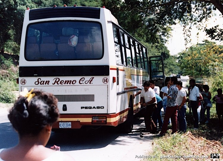 Pegaso - ?? - San Remo (En Venezuela)
C 01304

Foto de Mark Naylor, tomada de https://picasaweb.google.com
Palabras clave: pegaso venezuela