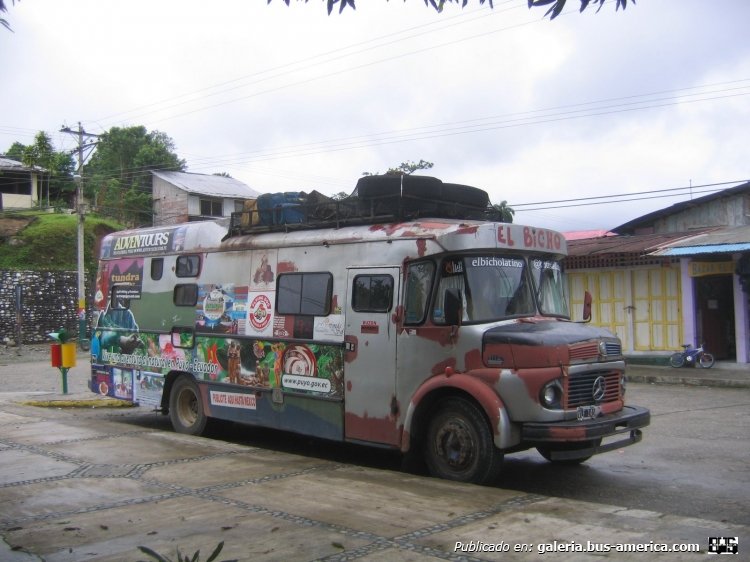 Mercedes-Benz LO 1114 - Splendid - El Bicho
B1886387 - VLF 141

Foto subida a picasaweb.google.com por el usuario Celine et Remy

http://galeria.bus-america.com/displayimage.php?pid=38601
