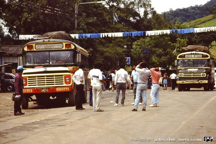 Ford - Blue Bird Conventional (para Guatemala) - ¿?
Foto de Michel Ulens

(Datos de izquierda a derecha)
Palabras clave: guatemala ford