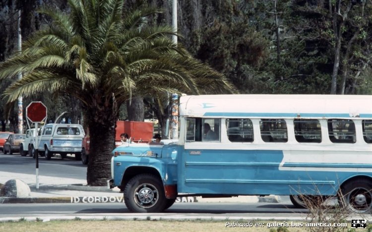 Ford - ¿Blue Bird? -??
Foto del usuario Don, subida a https://picasaweb.google.com
(En Ecuador)
Palabras clave: ford ecuador