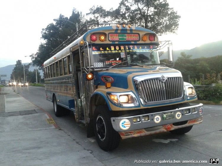 International - Blue Bird - Dorita  (En Guatemala)
308 BBH

Foto de Twitter, @T13Noticias 
Palabras clave: guatemala international