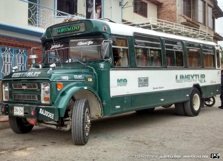 Chevrolet B 60 - ¿Superior? - Linextur
SRA 256

Foto tomada de www.mercadolibre.com.co
Palabras clave: colombia