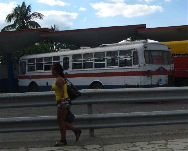 ¿Leyland? - ??
Foto de Carlos Adame, tomada de panoramio.com
Palabras clave: cuba