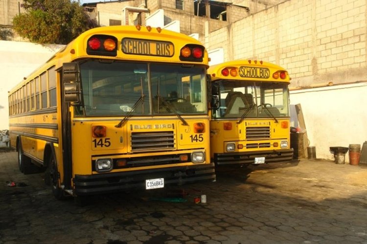 ¿Blue Bird? - Blue Bird - ¿Escolar? (En Guatemala)
Foto tomada de www.olx.com.gt
Palabras clave: blue bird