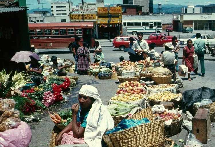 ?? - ?? - Coop. ?? 
Foto de Herbert Stocker, tomada de picasaweb.google.com
