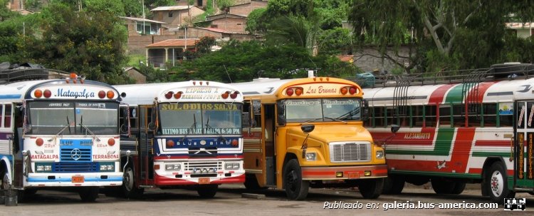International - Blue Bird - Las Brumas (En Nicaragua)
Foto: ¿Amber Dobrzensky? Tomada de moon.com
Palabras clave: nicaragua